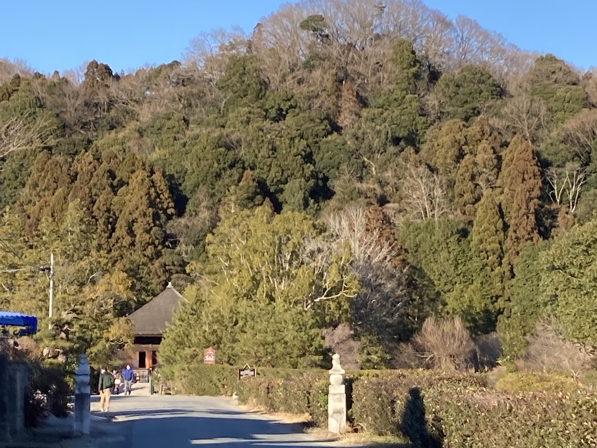 f:id:kirakunist:20210119005128j:plain