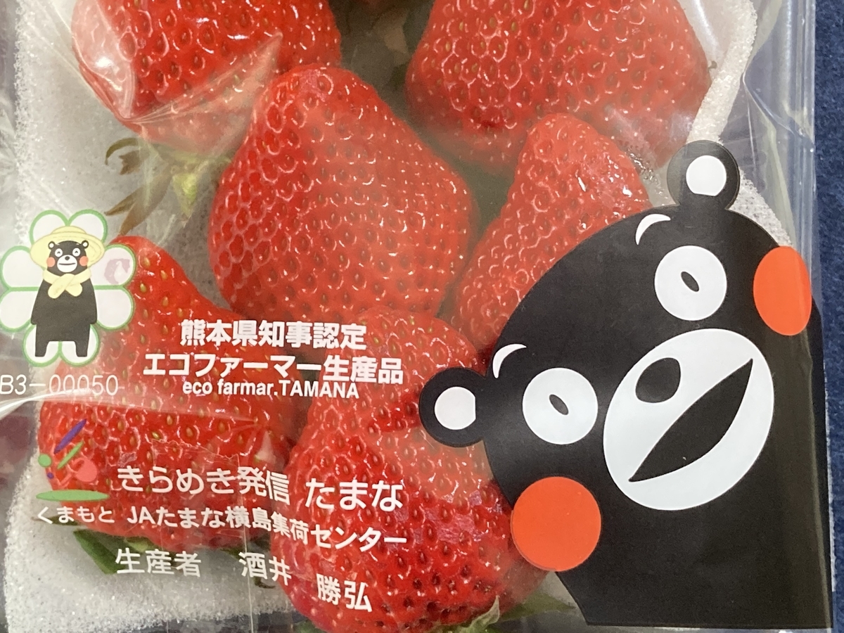 f:id:kirakunist:20210228010358j:plain