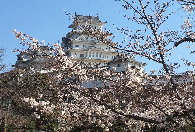 f:id:kirakunist:20210323001932j:plain