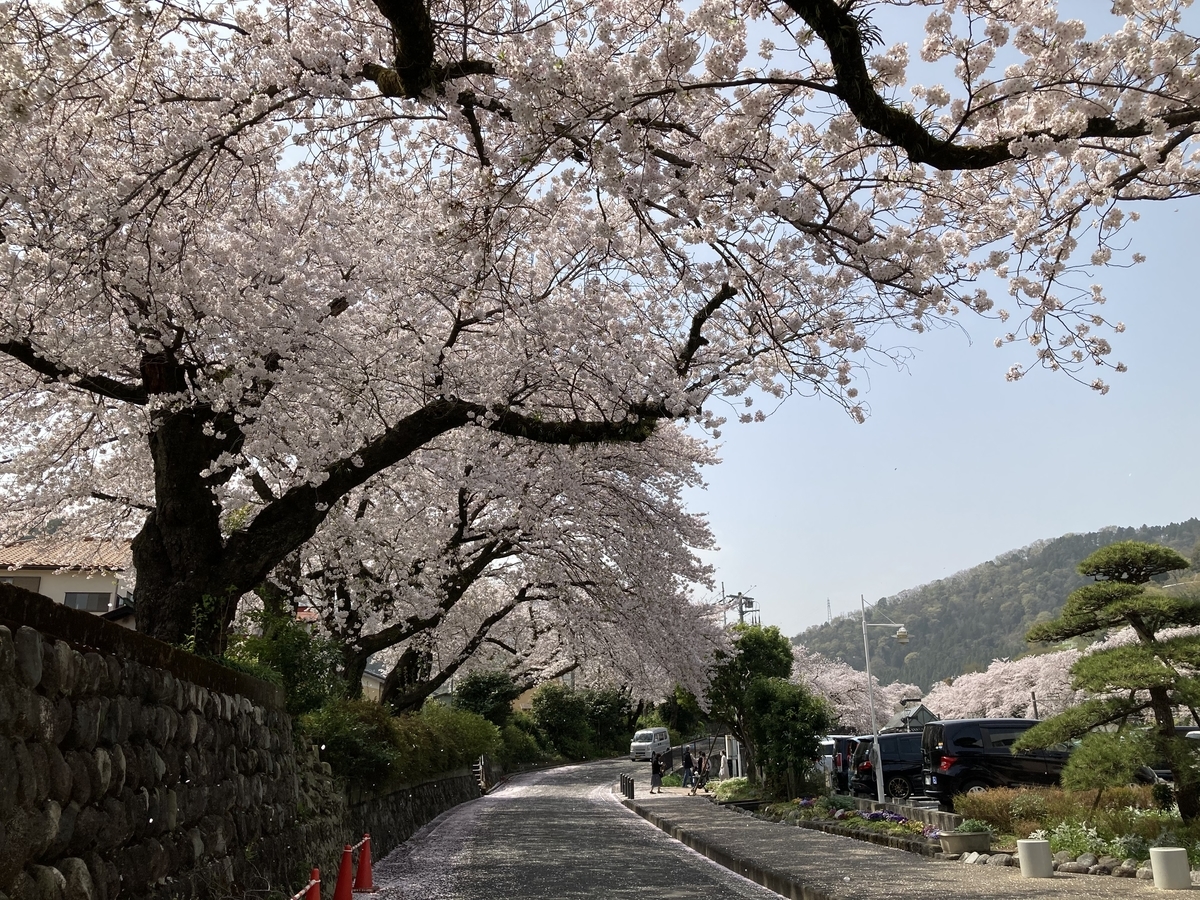 f:id:kirakunist:20210401005755j:plain