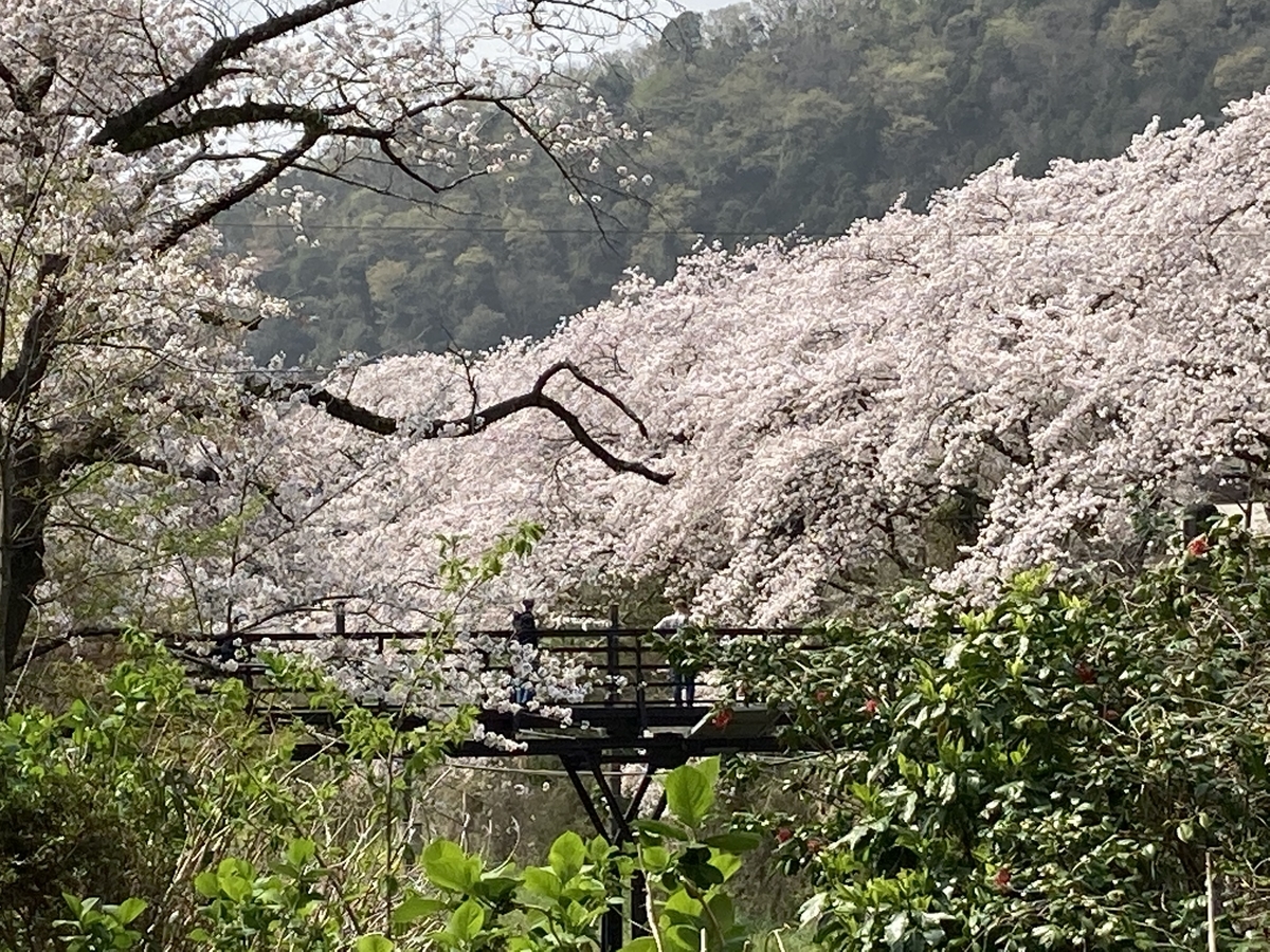 f:id:kirakunist:20210401005921j:plain