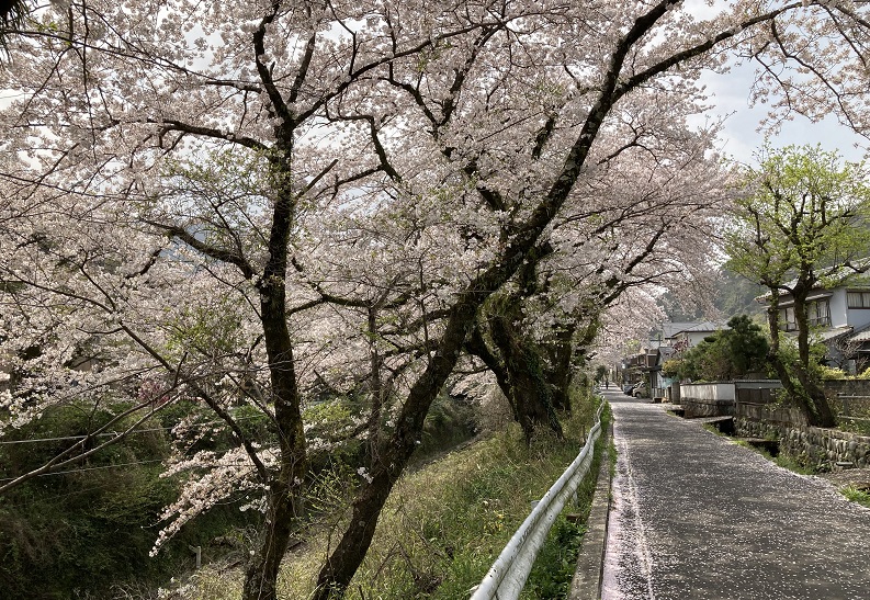 f:id:kirakunist:20210401010444j:plain