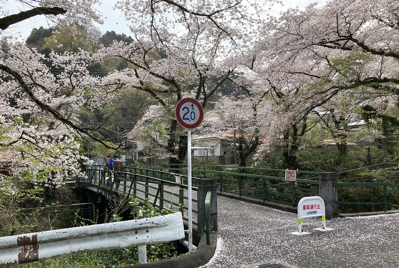 f:id:kirakunist:20210401010907j:plain