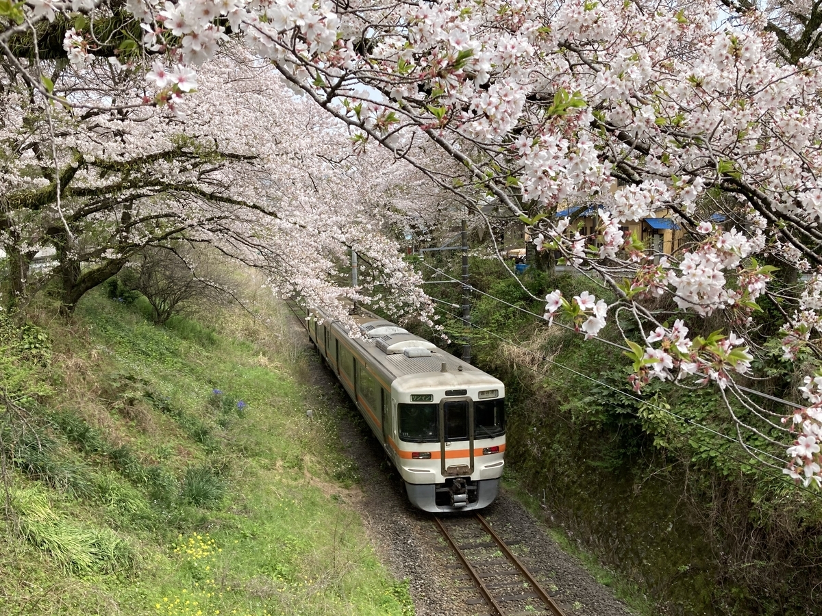 f:id:kirakunist:20210401010937j:plain