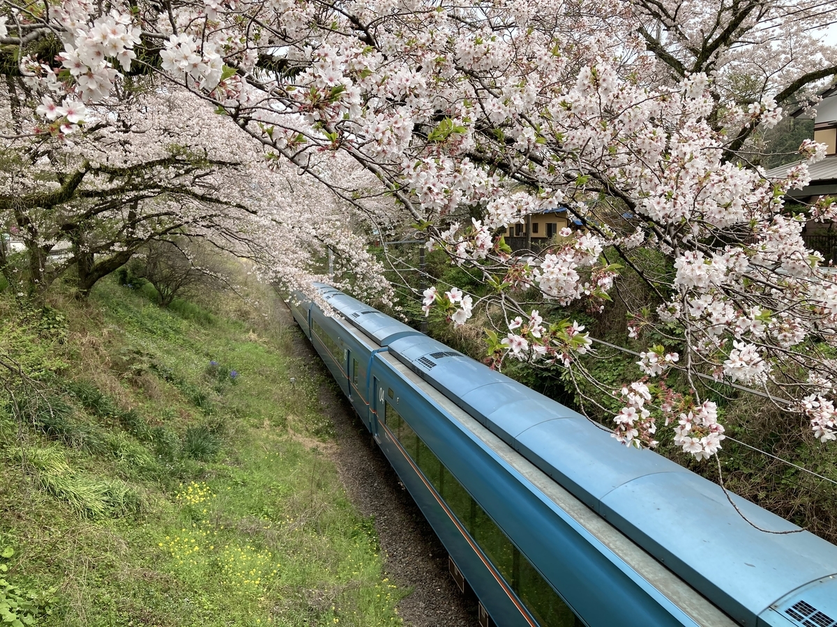 f:id:kirakunist:20210401011046j:plain