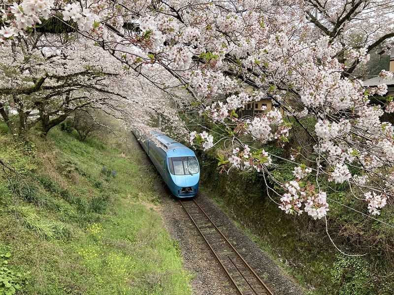 f:id:kirakunist:20210401141826j:plain