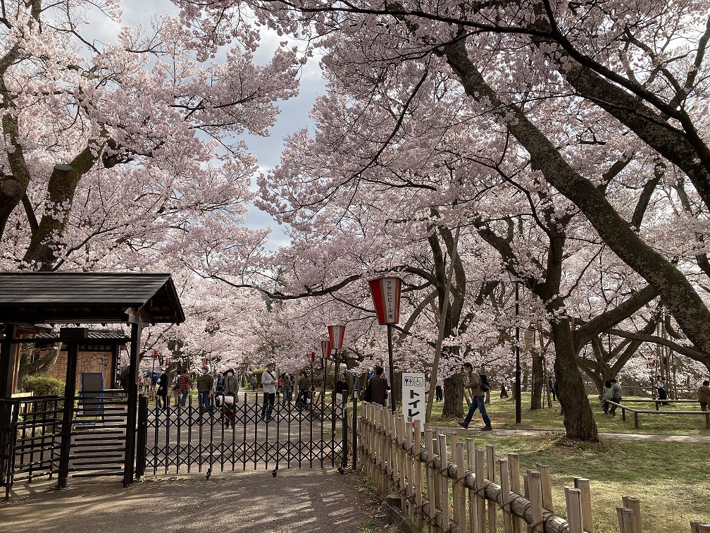 f:id:kirakunist:20210404134647j:plain