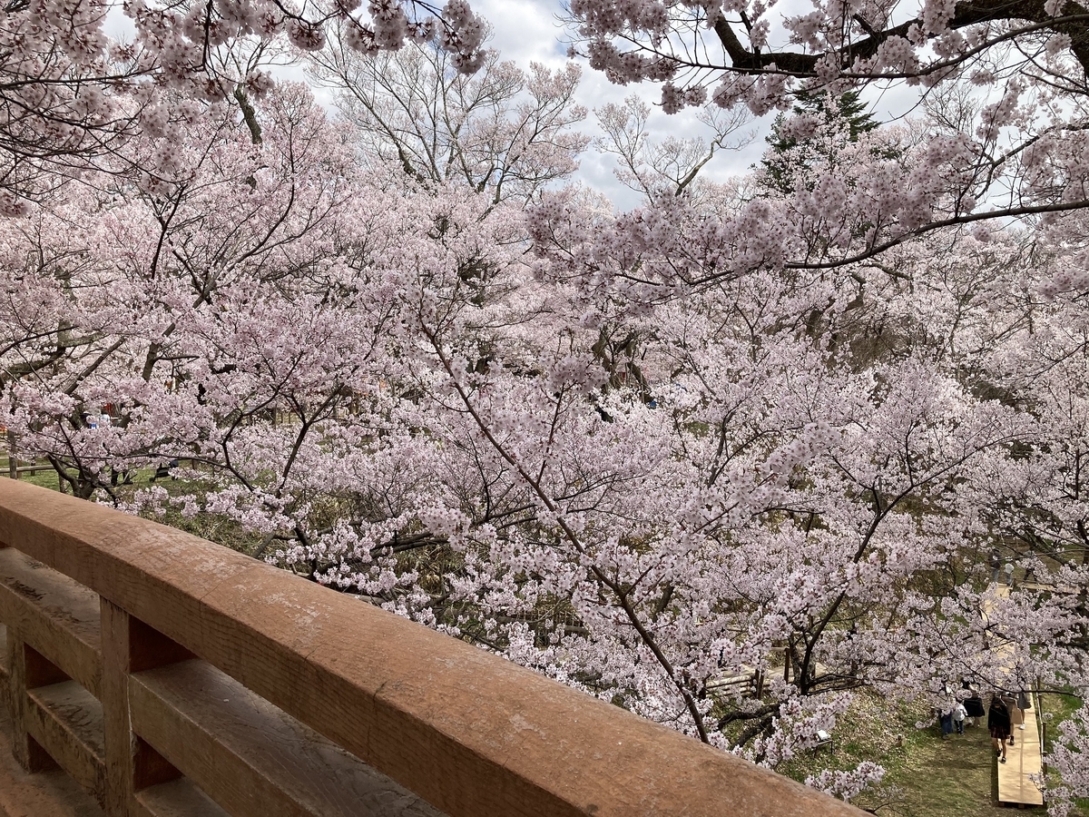 f:id:kirakunist:20210404134733j:plain