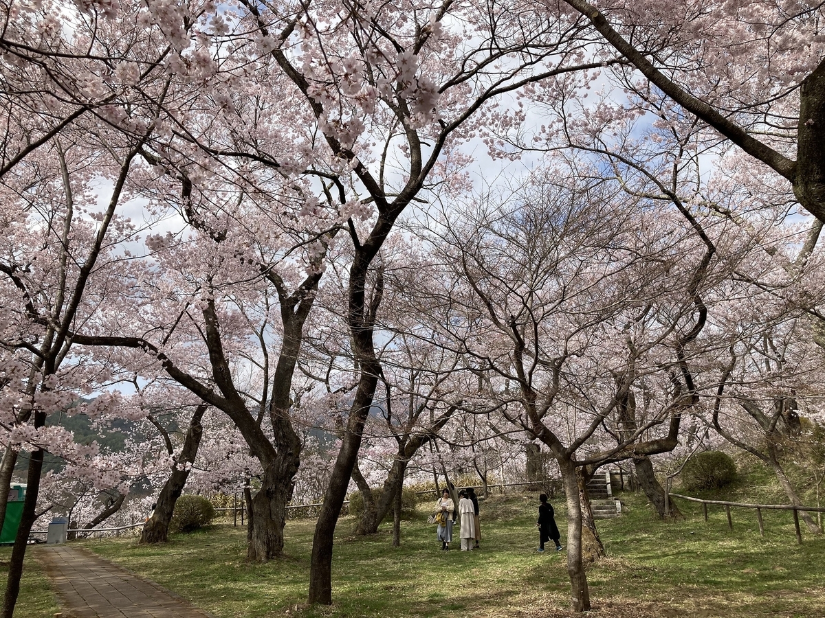 f:id:kirakunist:20210404134820j:plain