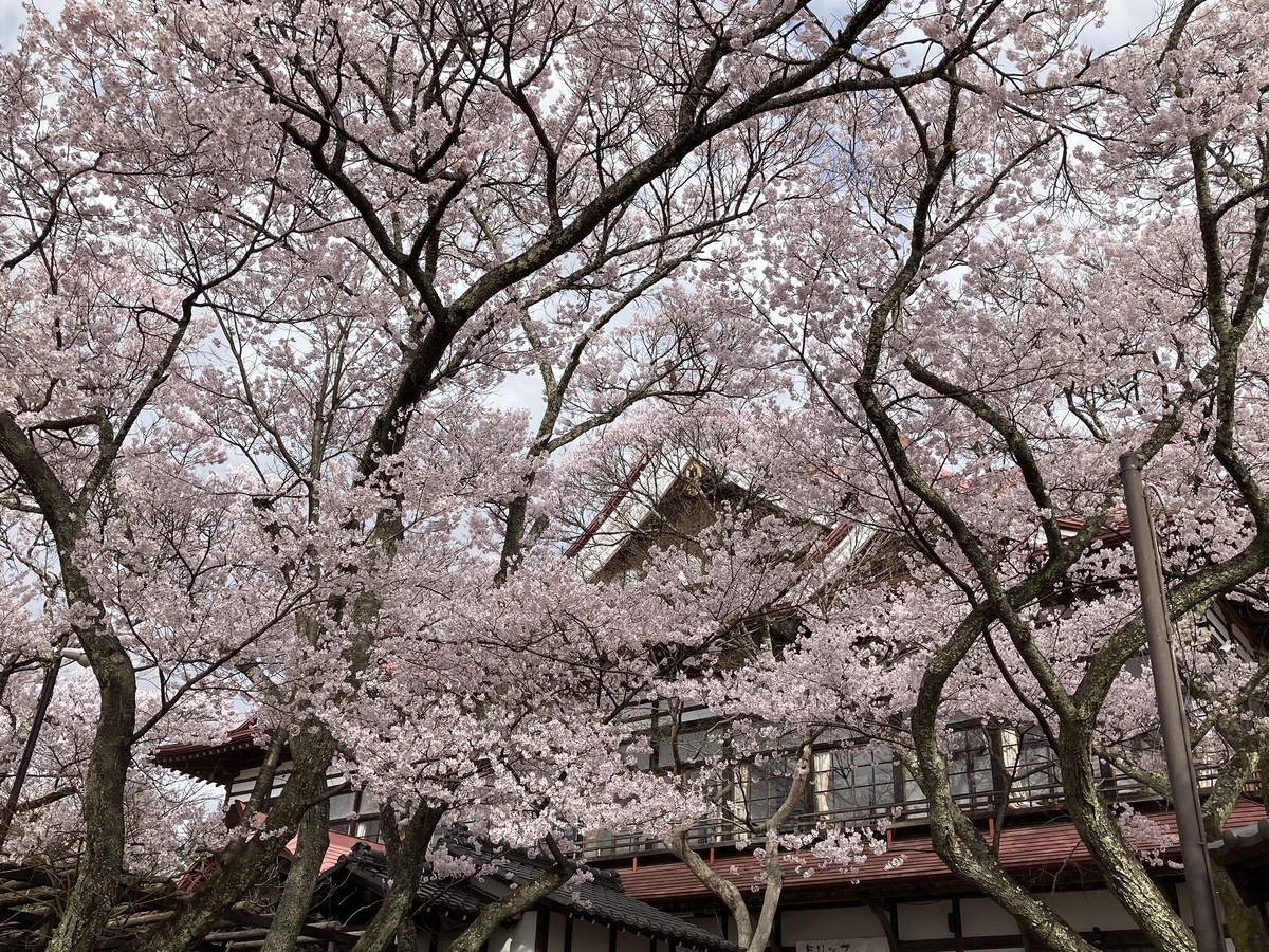 f:id:kirakunist:20210404134948j:plain