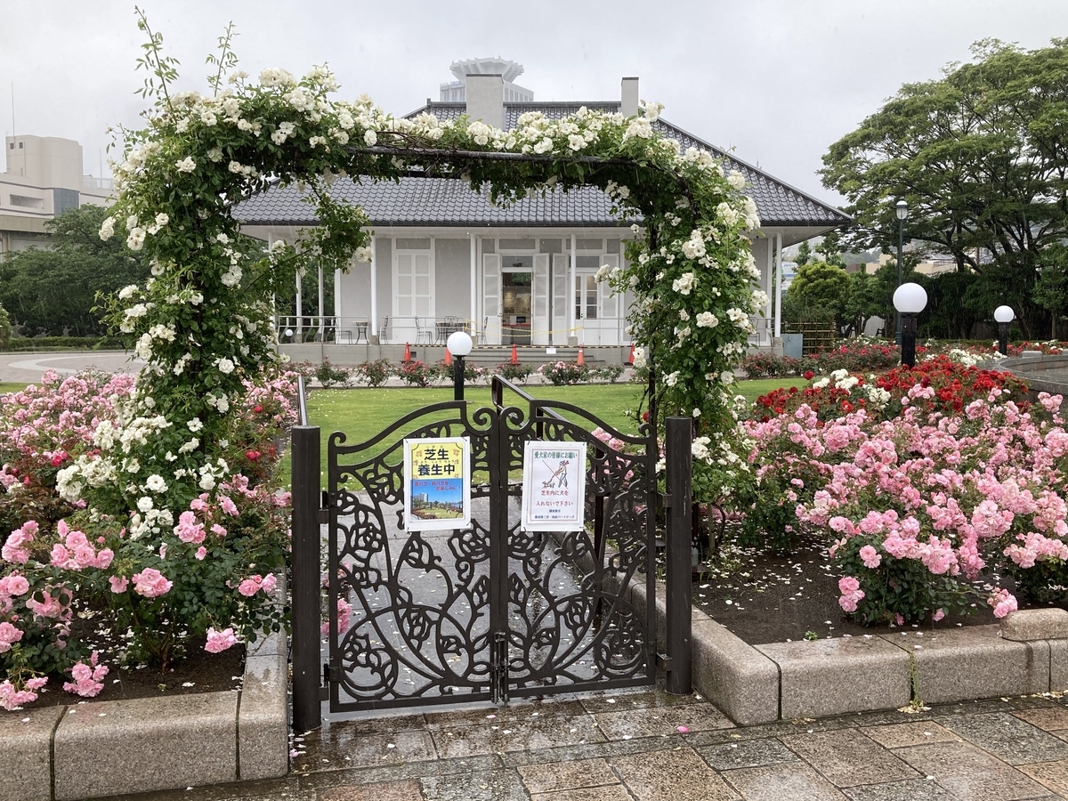 f:id:kirakunist:20210521180521j:plain