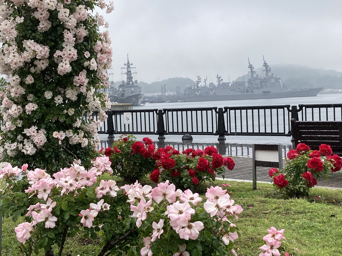 f:id:kirakunist:20210521180718j:plain