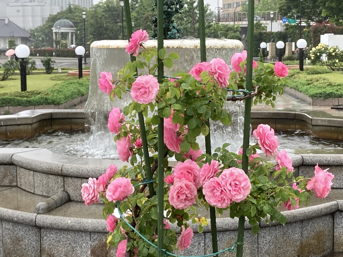 f:id:kirakunist:20210521180921j:plain