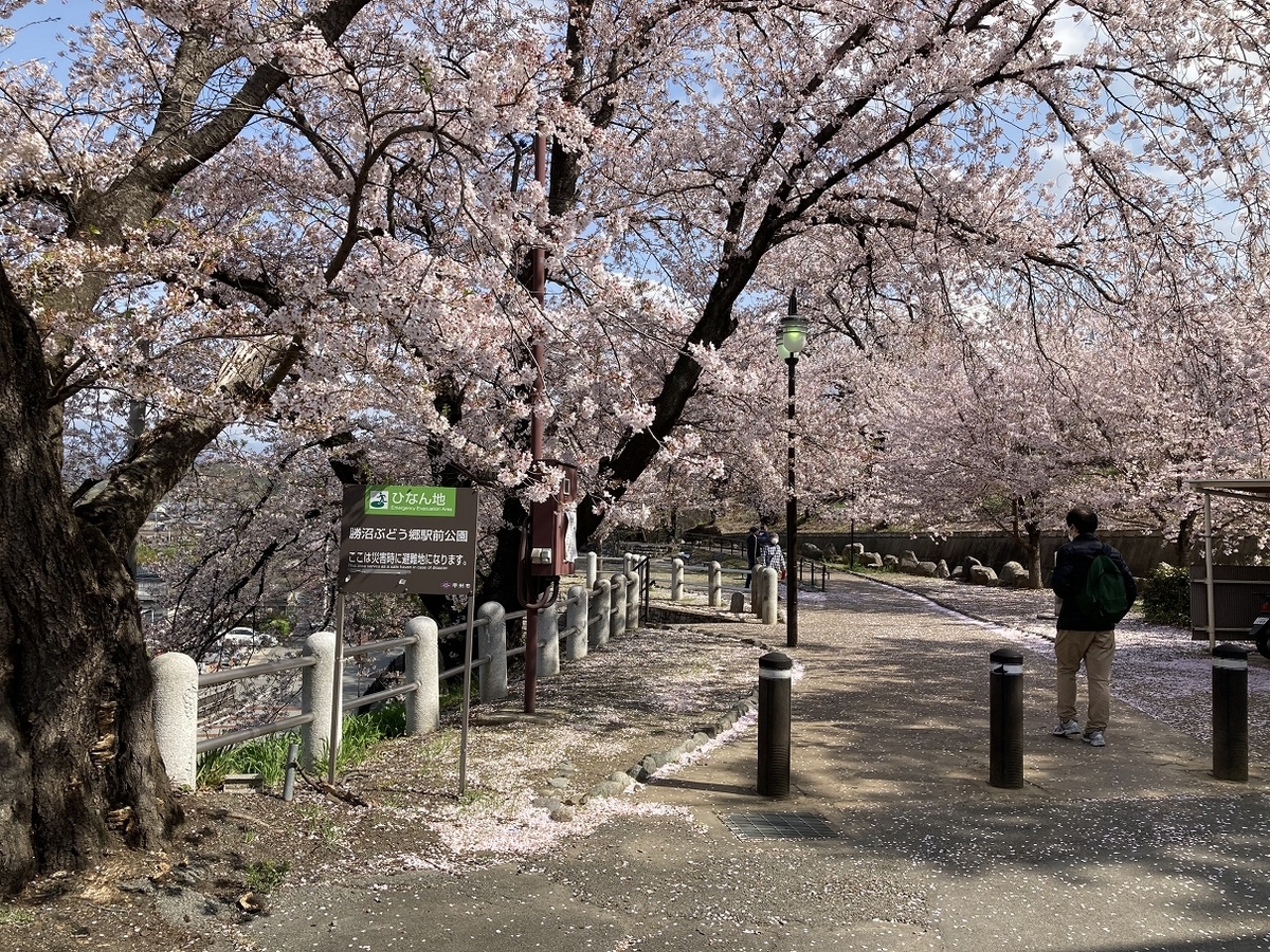 f:id:kirakunist:20210608234906j:plain