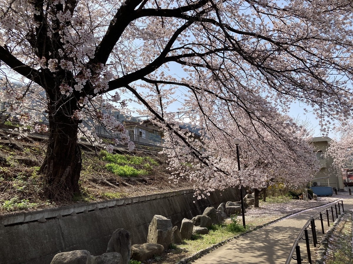 f:id:kirakunist:20210608235032j:plain