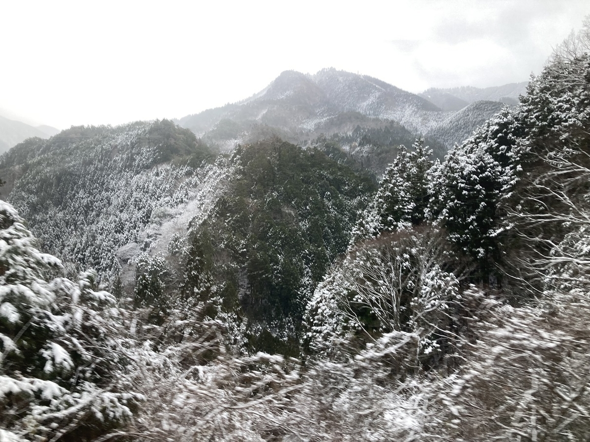 f:id:kirakunist:20211231180500j:plain