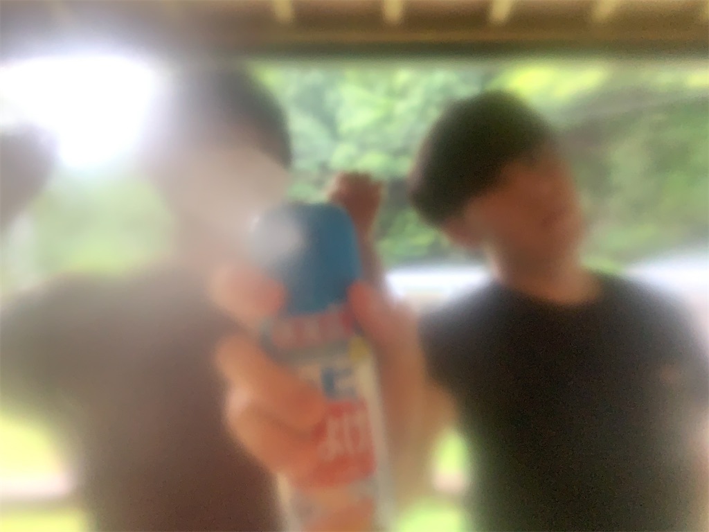 f:id:kiramekinonaka:20200821022033j:image