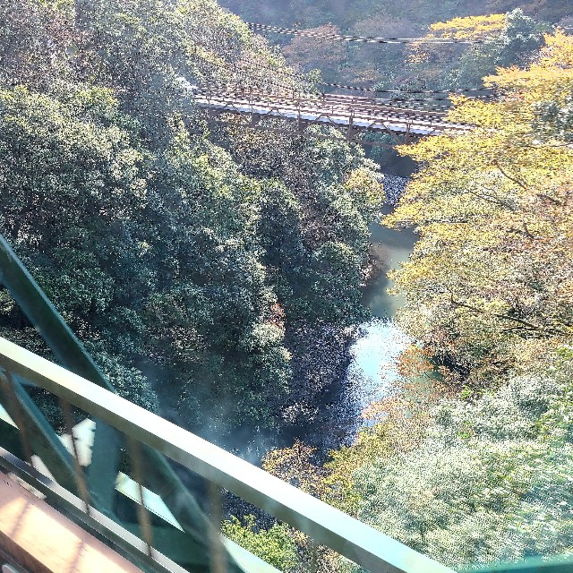 f:id:kiramogu:20211108184213j:image f:id:kiramogu:20211108184213j:image