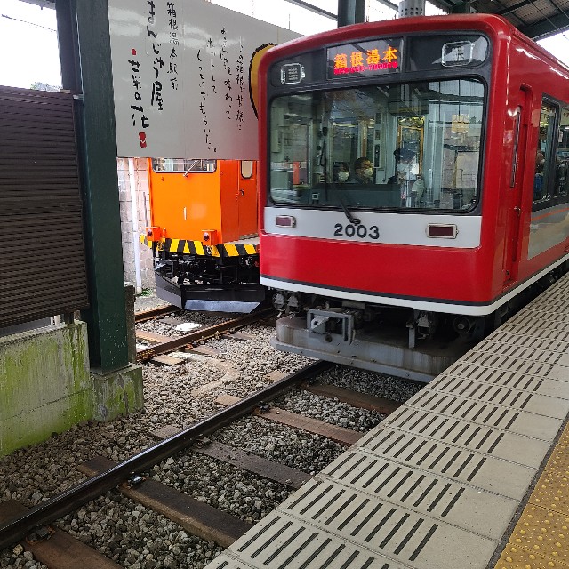 f:id:kiramogu:20211115174111j:image f:id:kiramogu:20211115174111j:image