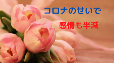 f:id:kirapapachang:20200626221339p:plain f:id:kirapapachang:20200626221339p:plain