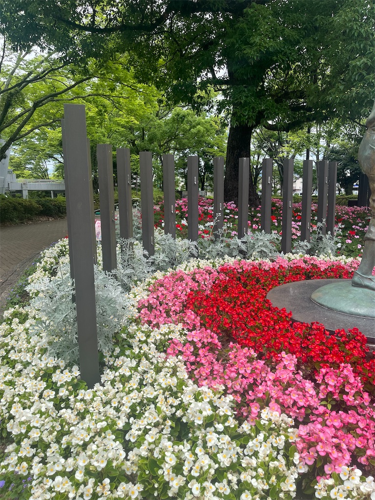 f:id:kirariMD:20230714131203j:image