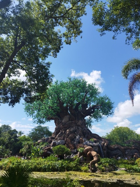 WDW】フロリダ州 ウォルトディズニーワールド〜2歳3歳連れ〜4日