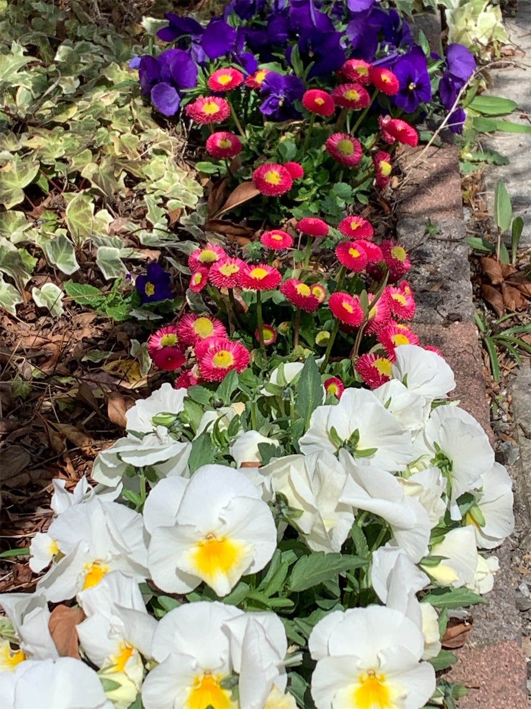 f:id:kirarin_star:20210321192605j:image