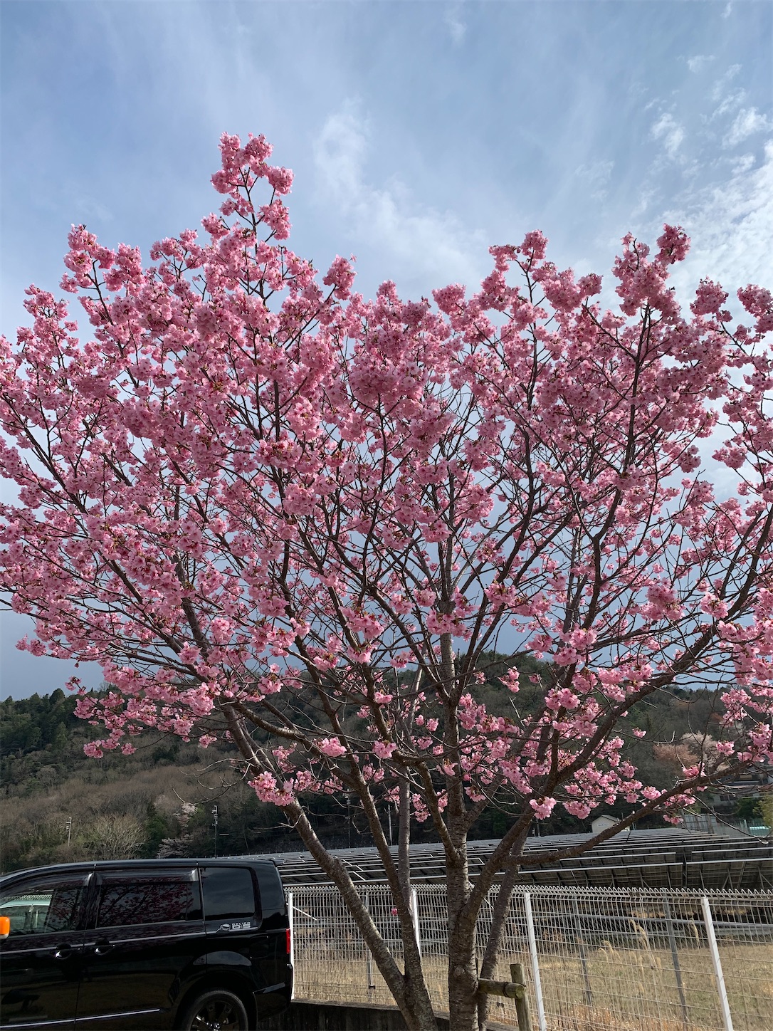 f:id:kirarin_star:20210322204852j:image