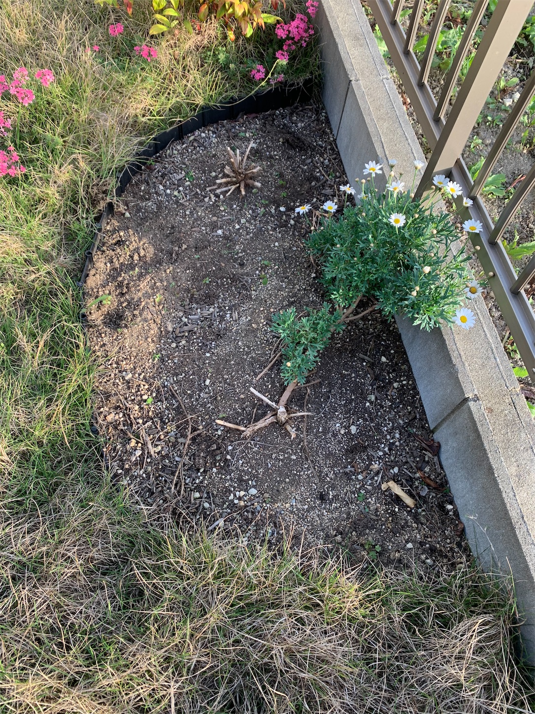 f:id:kirarin_star:20210513143109j:image