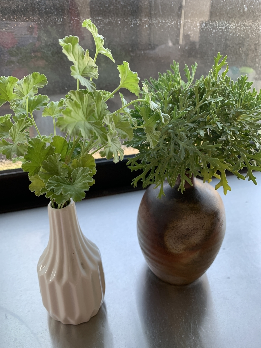 f:id:kirarin_star:20211217163748j:plain