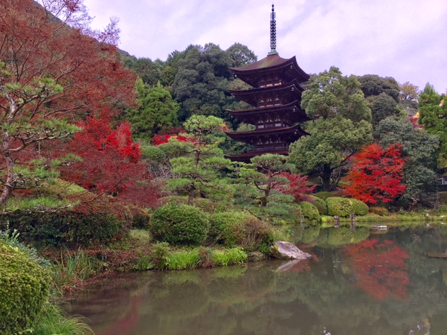 瑠璃光寺五重塔 山口 紅葉 福岡のカラーリスト中村秀子のキラリ彩り日記