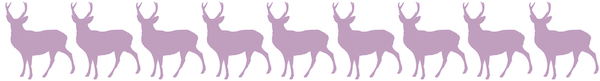 f:id:kirarock:20210724115051j:plain