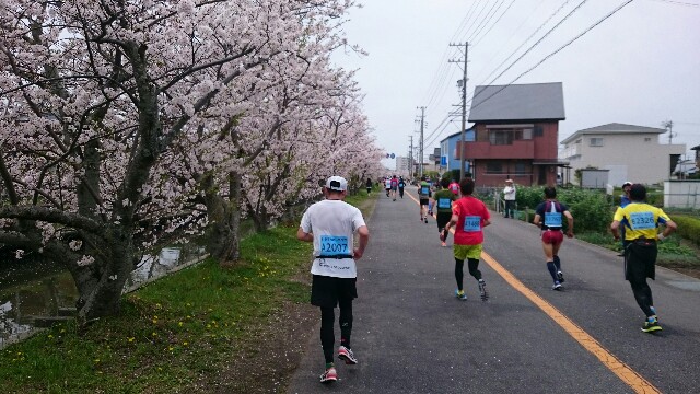 f:id:kirataku:20160410192644j:image f:id:kirataku:20160410192644j:image