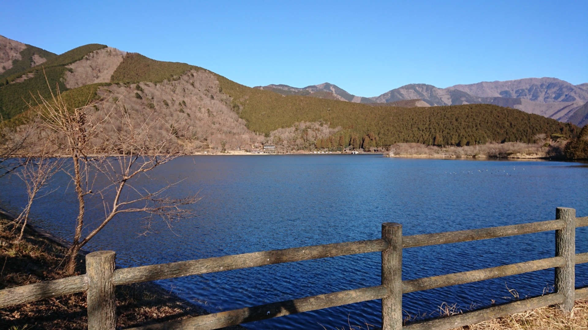 f:id:kirataku:20190127190103j:image f:id:kirataku:20190127190103j:image