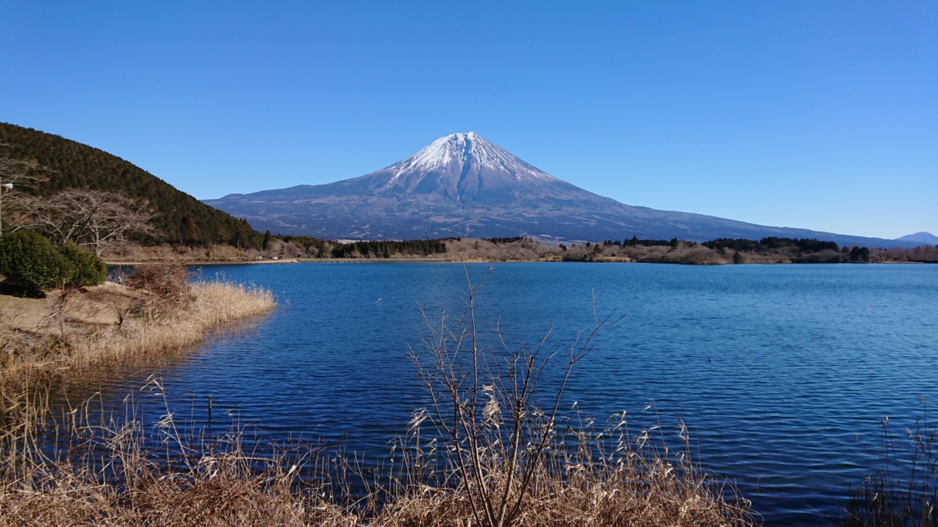 f:id:kirataku:20190127191609j:image f:id:kirataku:20190127191609j:image