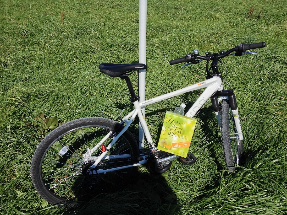 f:id:kirdina:20200529093011j:plain f:id:kirdina:20200529093011j:plain