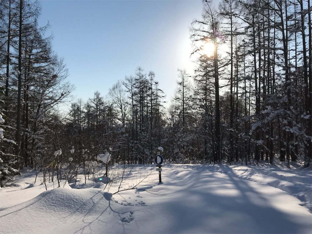 f:id:kirdina:20210124164836j:image f:id:kirdina:20210124164836j:image