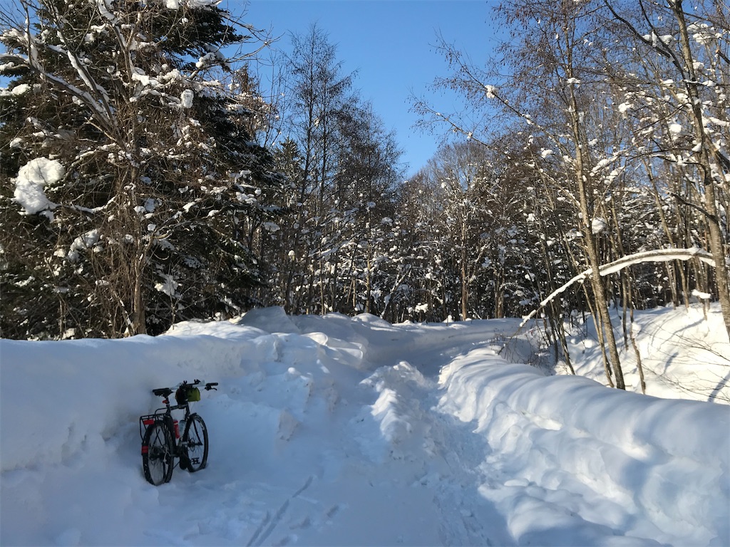 f:id:kirdina:20210124164900j:image f:id:kirdina:20210124164900j:image