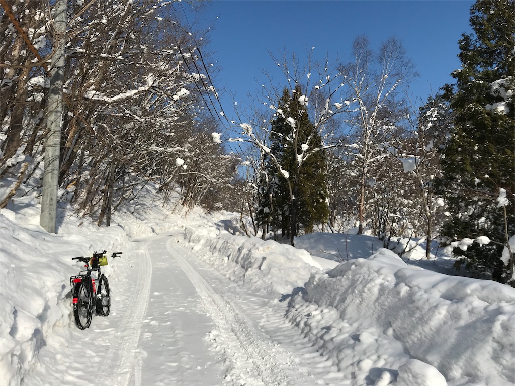 f:id:kirdina:20210124164909j:image f:id:kirdina:20210124164909j:image