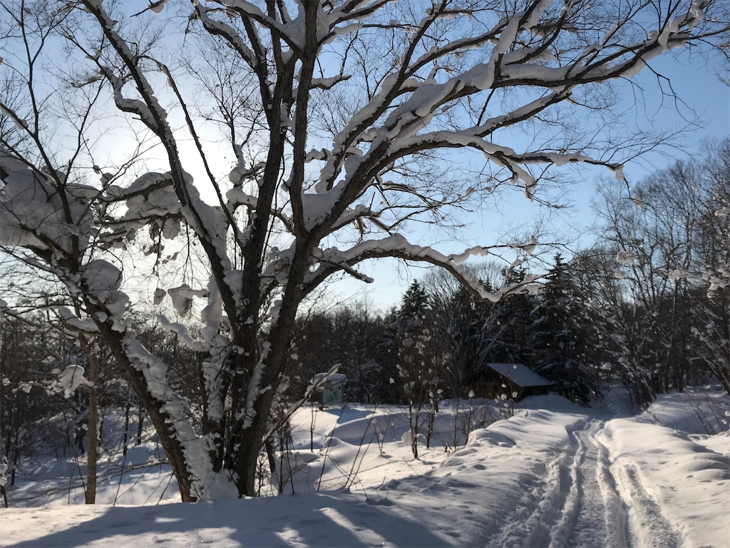 f:id:kirdina:20210124164929j:image f:id:kirdina:20210124164929j:image