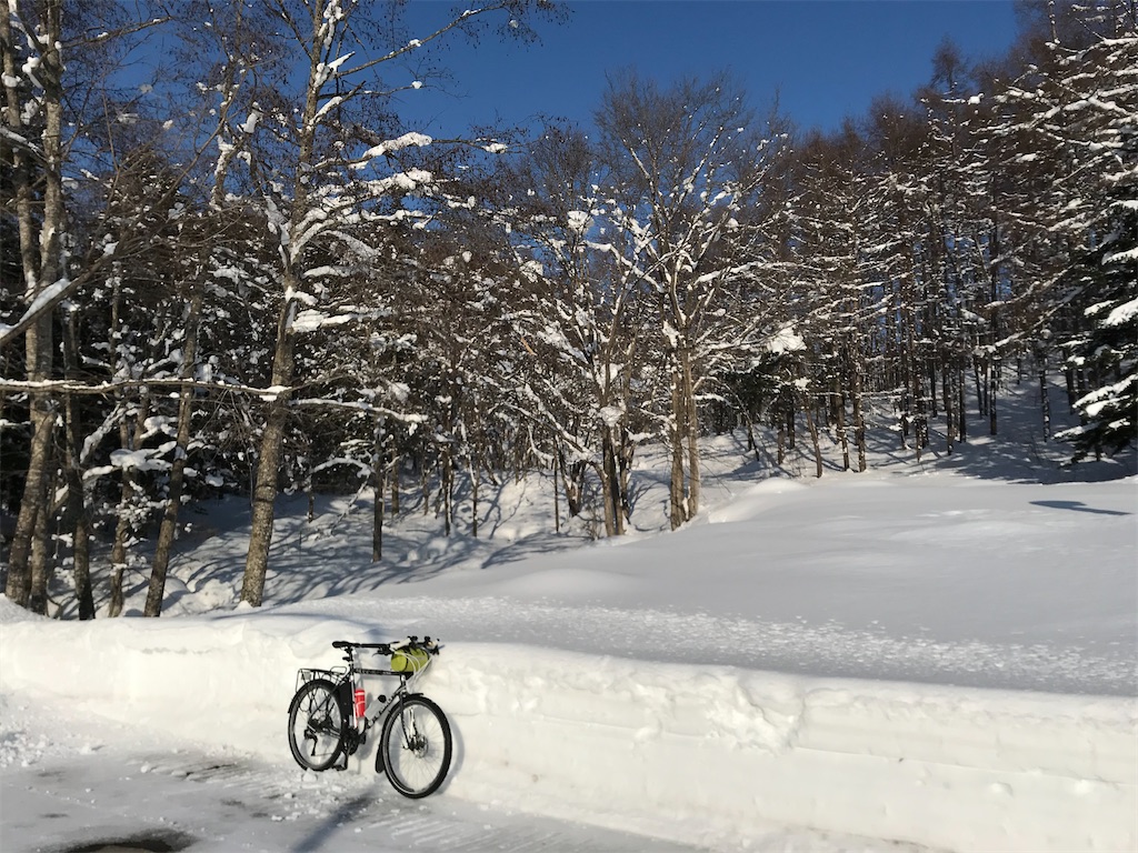 f:id:kirdina:20210124164942j:image f:id:kirdina:20210124164942j:image