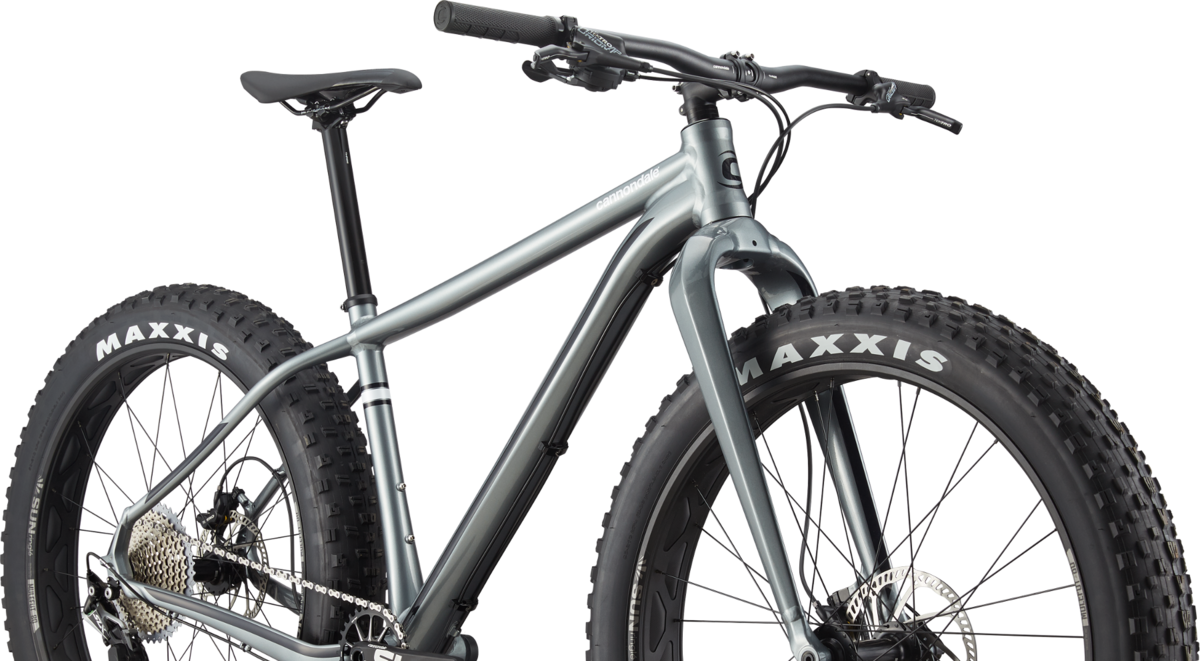 FAT BIKE】え、SURLY や SALSA ばかりでなく、こんなメジャー