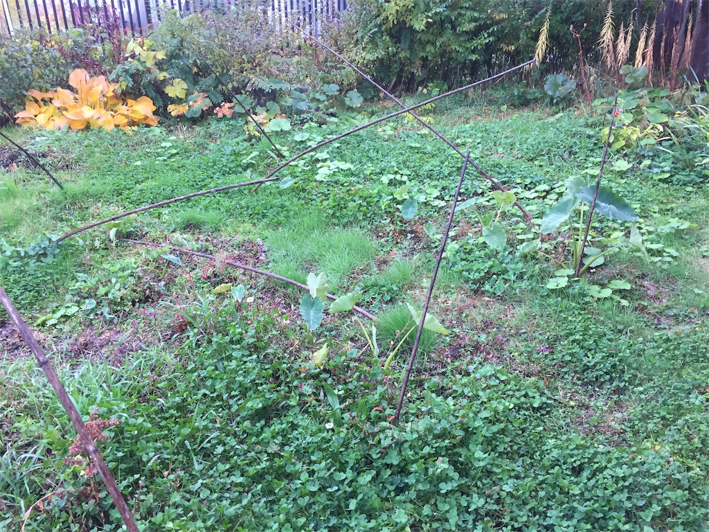 f:id:kirdina:20211030202317j:image