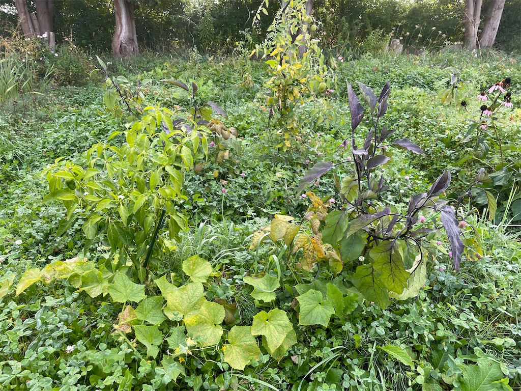 f:id:kirdina:20231011093030j:image f:id:kirdina:20231011093030j:image