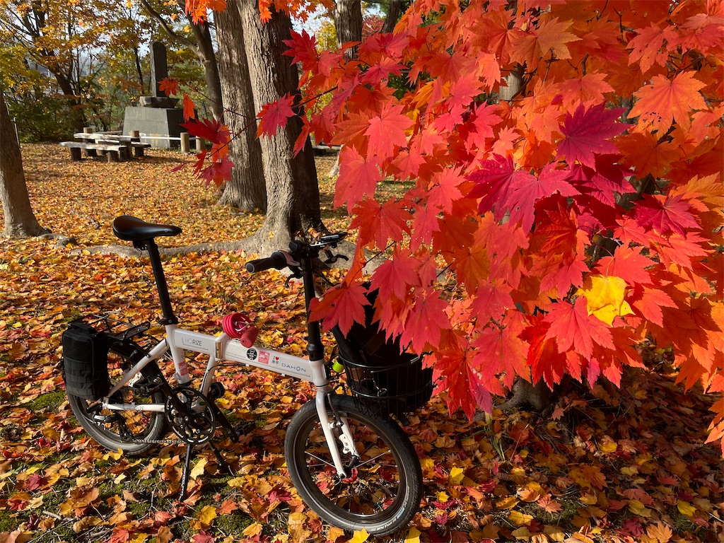 折り畳みミニベロ #DAHON #HORIZE で #お昼休みのプチポタ