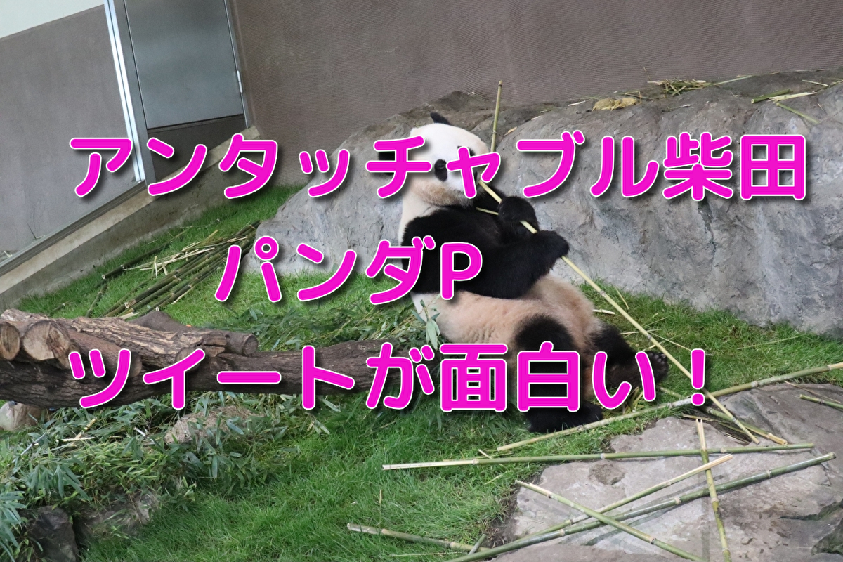 f:id:kireinakujira:20191205111858j:plain