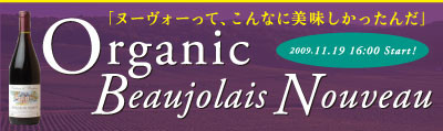 f:id:kireinotane:20091117225002j:image