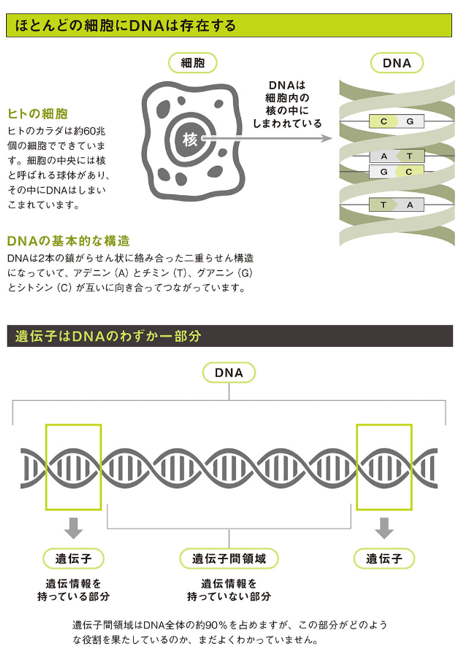 読書:眠れなくなるほど面白い 図解 遺伝の話 - 霧隠日記
