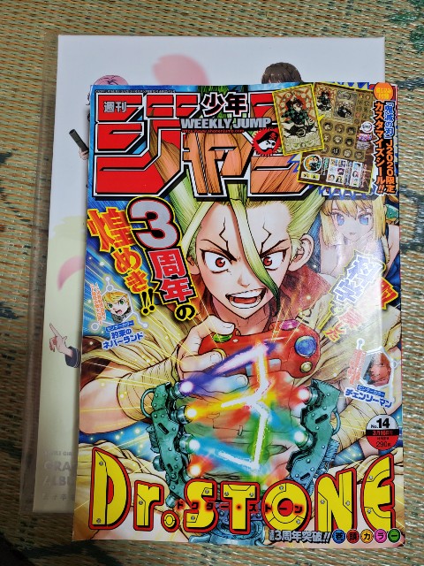f:id:kiribosisama:20200310190216j:image