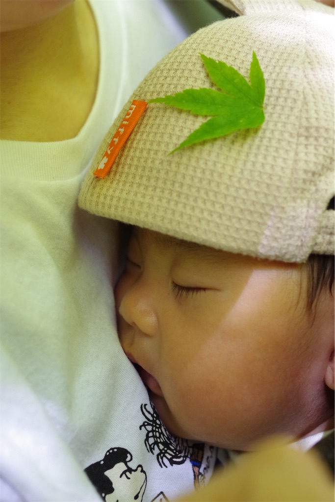 f:id:kirimi0216:20220307133133j:image f:id:kirimi0216:20220307133133j:image